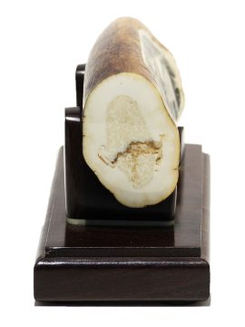 David Adams Scrimshaw - Captain Nemo's Nautilus