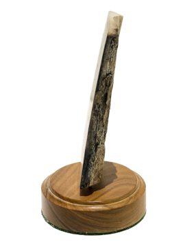 David Smith Scrimshaw - Flying Cloud
