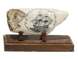 Andre Dolenko Scrimshaw - Clipper with Full Sails