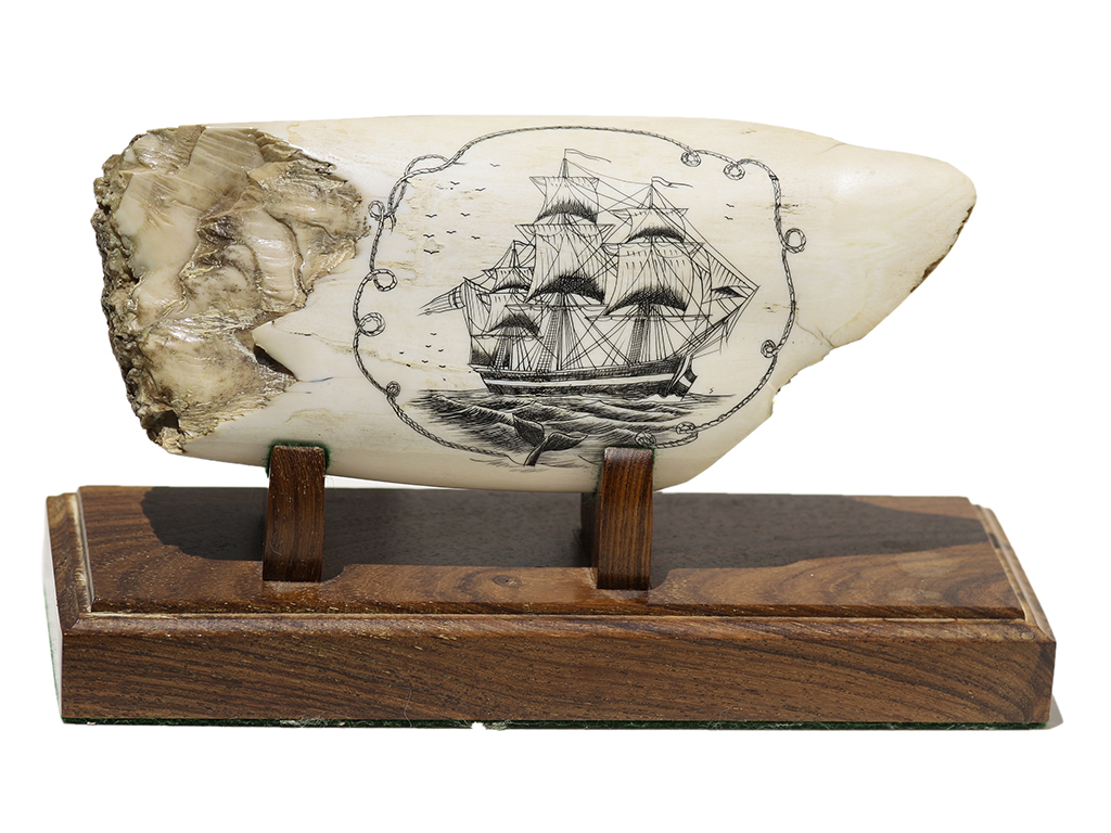 Andre Dolenko Scrimshaw - Clipper with Full Sails