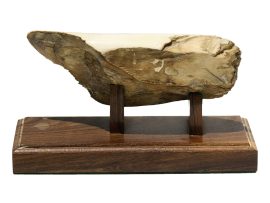Andre Dolenko Scrimshaw - Clipper with Full Sails
