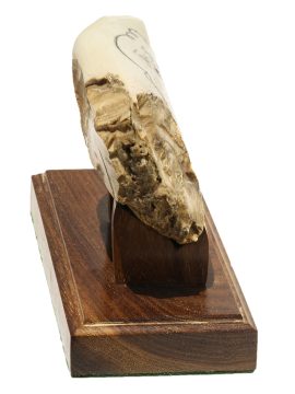 Andre Dolenko Scrimshaw - Clipper with Full Sails