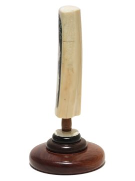 David Admas Scrimshaw - Woman in White