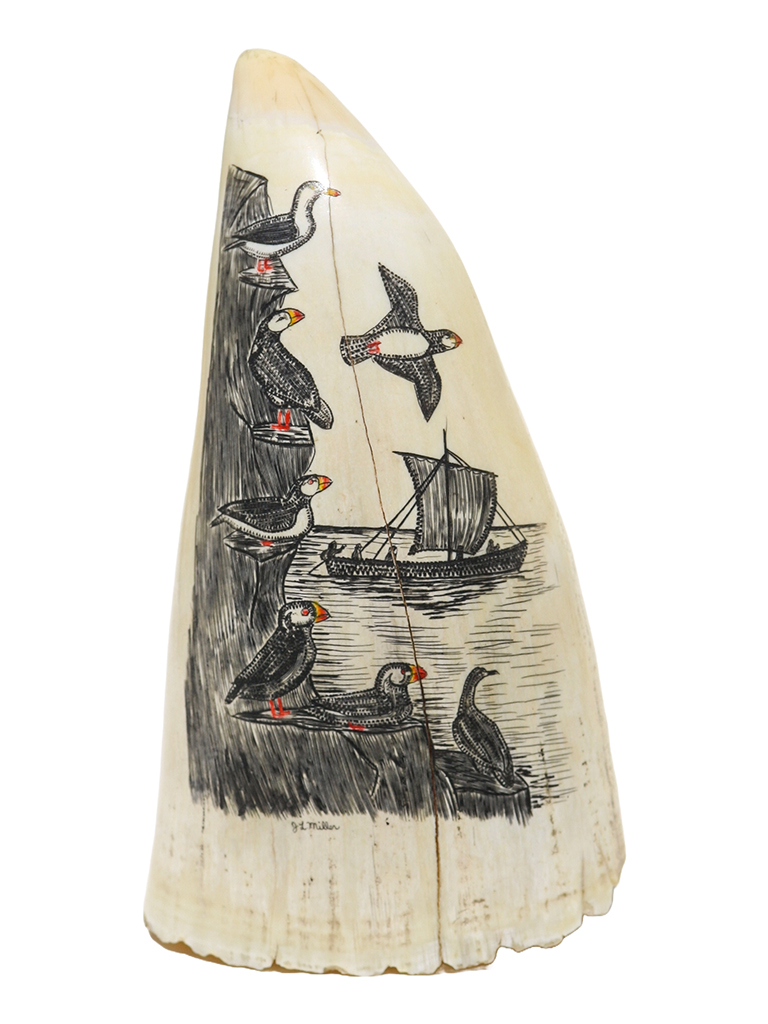 Scrimshaw by J.L. Miller - Puffins on Island