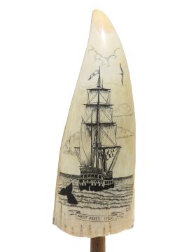 Scrimshaw by C.N. - West Indies 1750