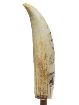 Scrimshaw by C.N. - West Indies 1750