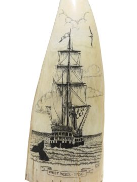 Scrimshaw by C.N. - West Indies 1750
