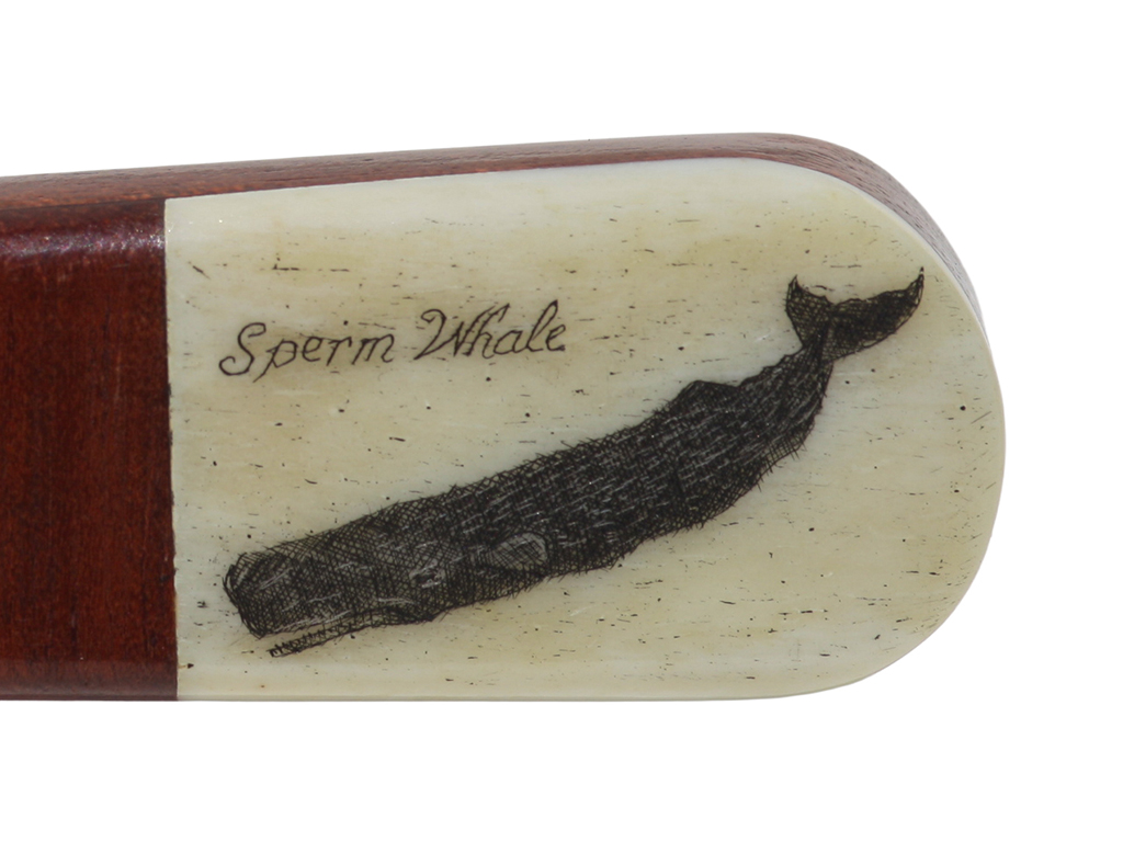G. Dupont Scrimshaw - Scrimshaw Letter Opener