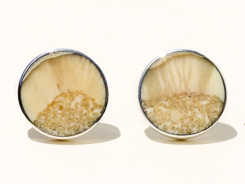 Jim Jenkins - Ancient Walrus Tusk Ivory Cufflinks