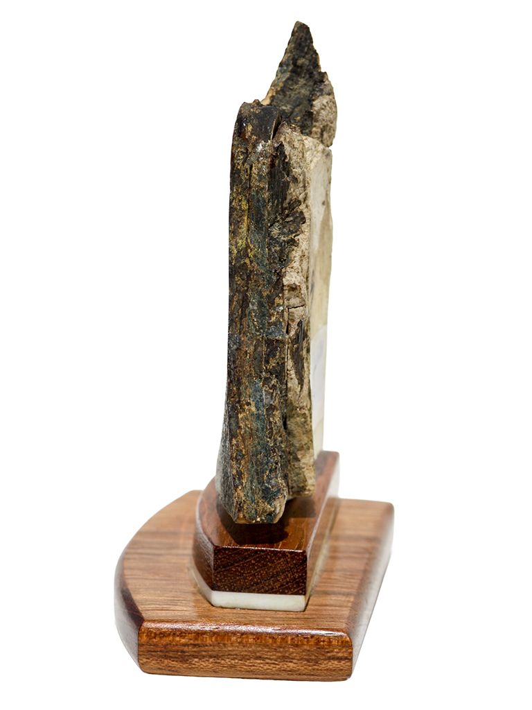Matt Stothart Scrimshaw - Pheasant on the Wing