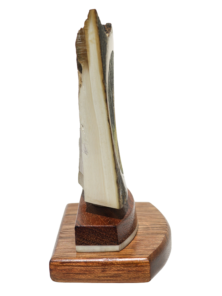 Matt Stothart Scrimshaw - Pheasant on the Wing