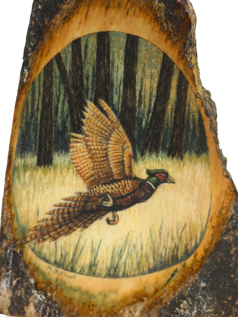 Matt Stothart Scrimshaw - Pheasant on the Wing