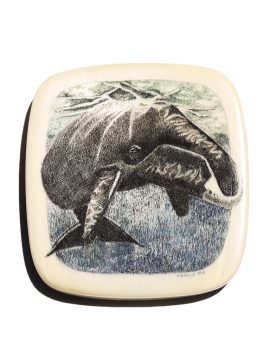 Kevin Petelle Scrimshaw - Sounding Whale by Kevin Petelle