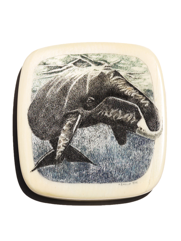 Kevin Petelle Scrimshaw - Sounding Whale by Kevin Petelle