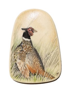 Margi Meyer Scrimshaw - Pheasant in Grasslands