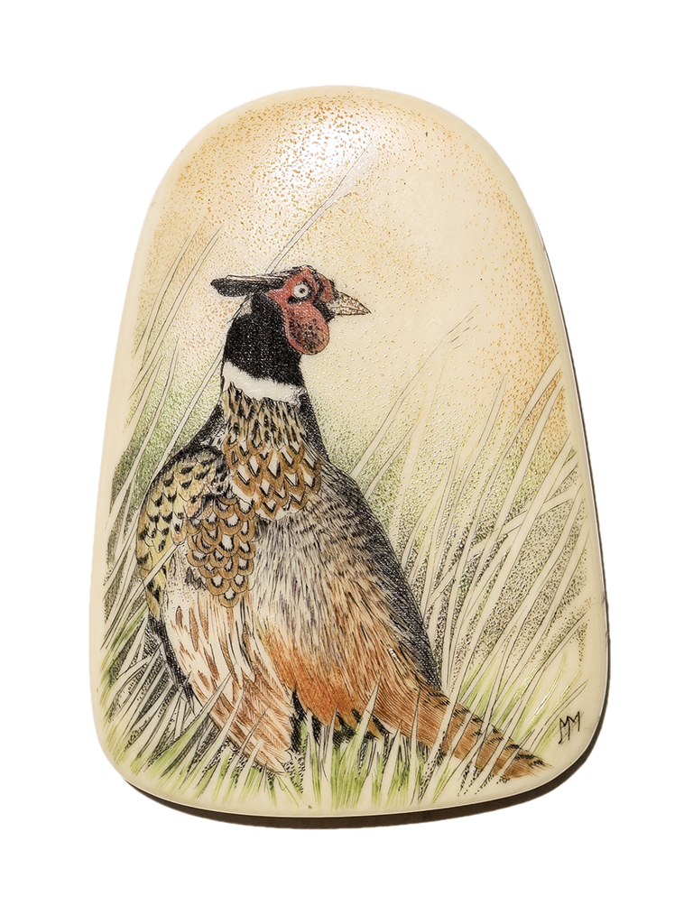 Margi Meyer Scrimshaw - Pheasant in Grasslands