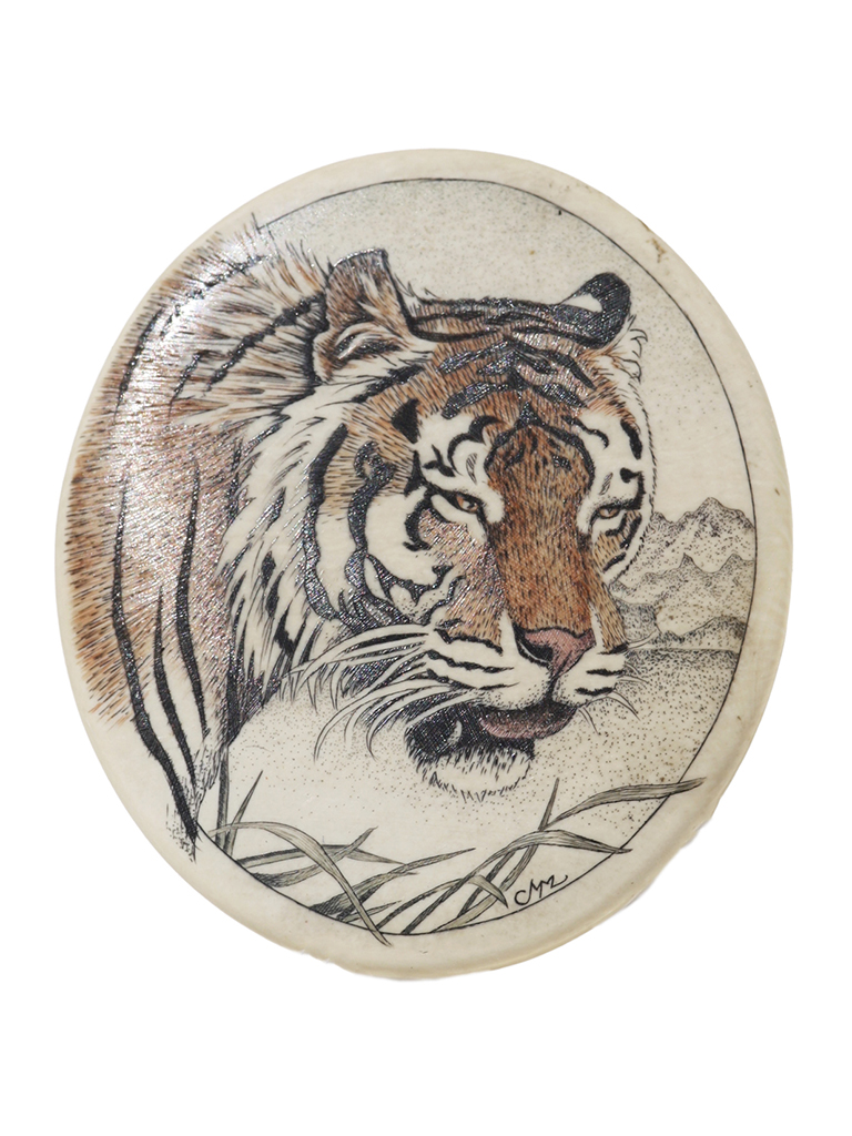 Margi Meyer Scrimshaw - Beautiful Bengal Tiger