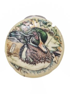 Kelly Mulford Scrimshaw - Wood Duck Portrait