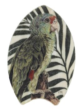 Terry Nelson Scrimshaw - Perched Parrot