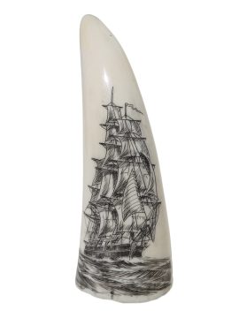 Endivt Scrimshaw - Whale's Tooth Scrimshaw