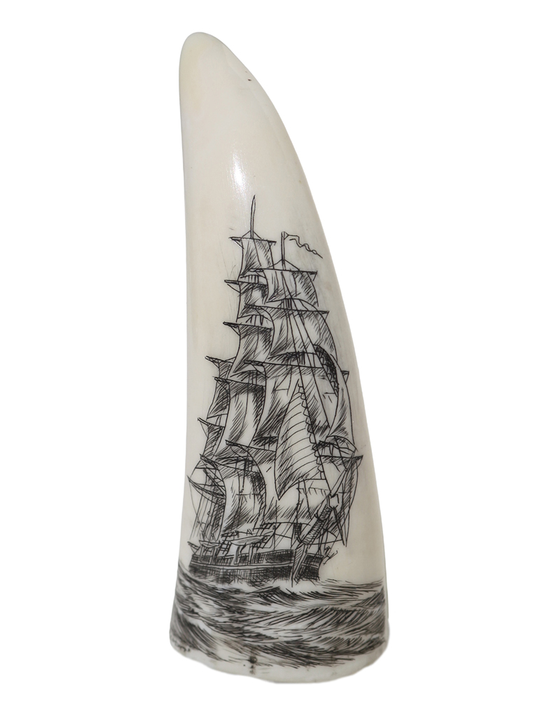 Endivt Scrimshaw - Whale's Tooth Scrimshaw